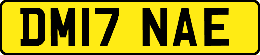 DM17NAE
