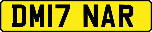 DM17NAR