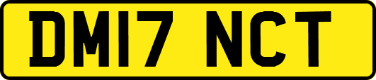 DM17NCT