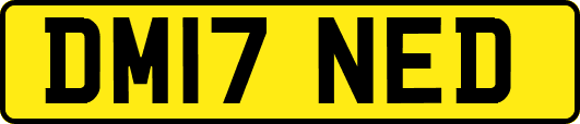DM17NED