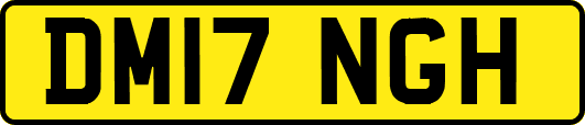 DM17NGH