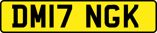 DM17NGK