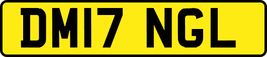 DM17NGL