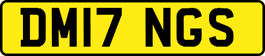 DM17NGS