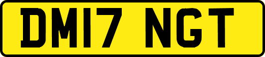 DM17NGT