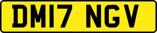 DM17NGV