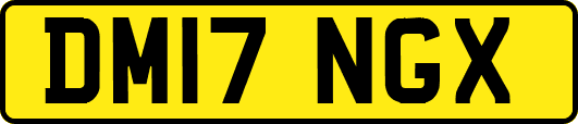 DM17NGX