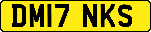 DM17NKS