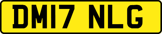 DM17NLG