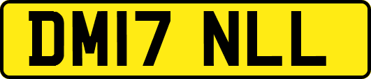 DM17NLL