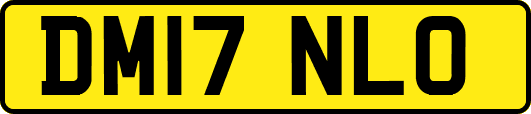 DM17NLO