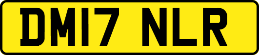 DM17NLR