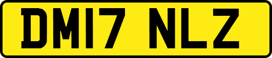 DM17NLZ