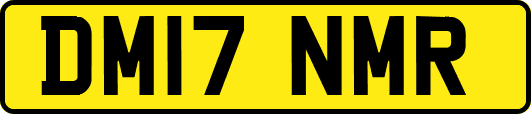 DM17NMR