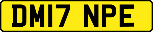DM17NPE