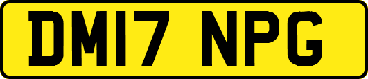 DM17NPG