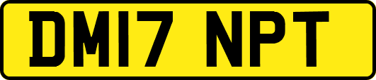 DM17NPT