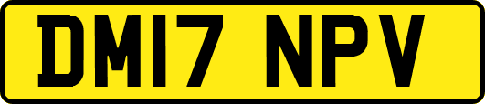 DM17NPV