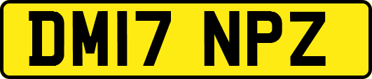 DM17NPZ