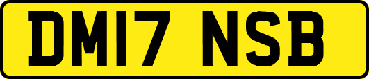 DM17NSB