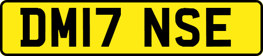 DM17NSE