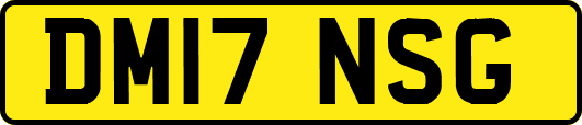 DM17NSG