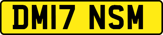DM17NSM