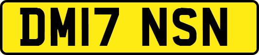 DM17NSN