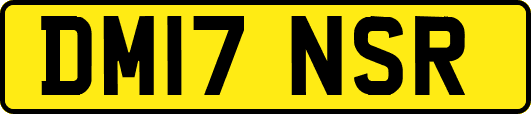 DM17NSR