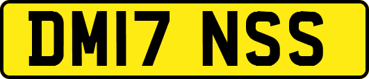 DM17NSS