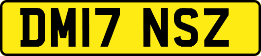 DM17NSZ