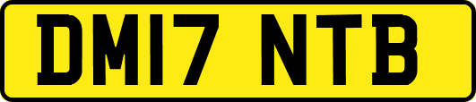 DM17NTB