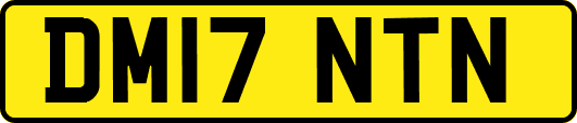 DM17NTN