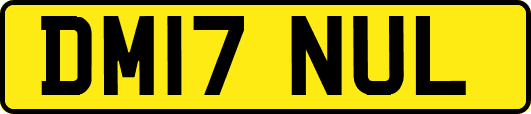 DM17NUL