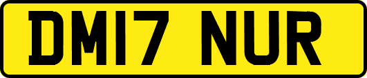 DM17NUR
