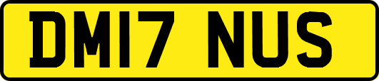 DM17NUS