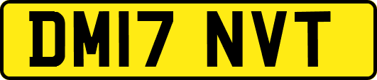 DM17NVT