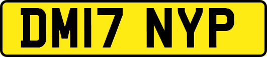 DM17NYP