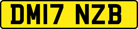 DM17NZB