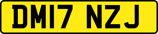 DM17NZJ