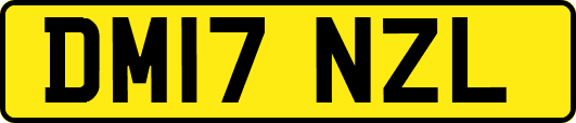 DM17NZL