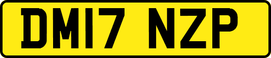 DM17NZP