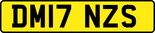 DM17NZS