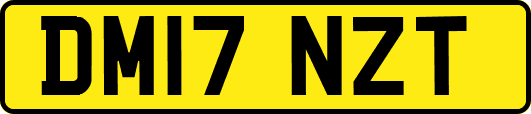 DM17NZT
