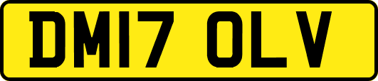 DM17OLV