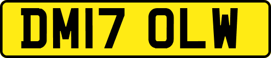 DM17OLW