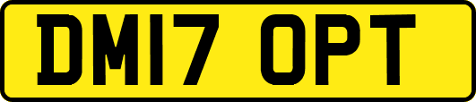 DM17OPT