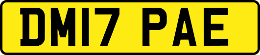 DM17PAE