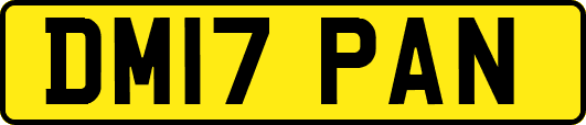 DM17PAN