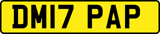 DM17PAP